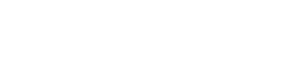 White logo with a bold capital letter "B" inside a circle to the left of the words "Partner Summit Clone" on a black background.
